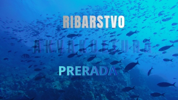 Objavljen 2. Natječaj FLAG-a Tri mora za Mjeru 1.2. "Jačanje održivosti i diversifikacije mikro, malog i srednjeg poduzetništva u ribarstvu i akvakulturi"